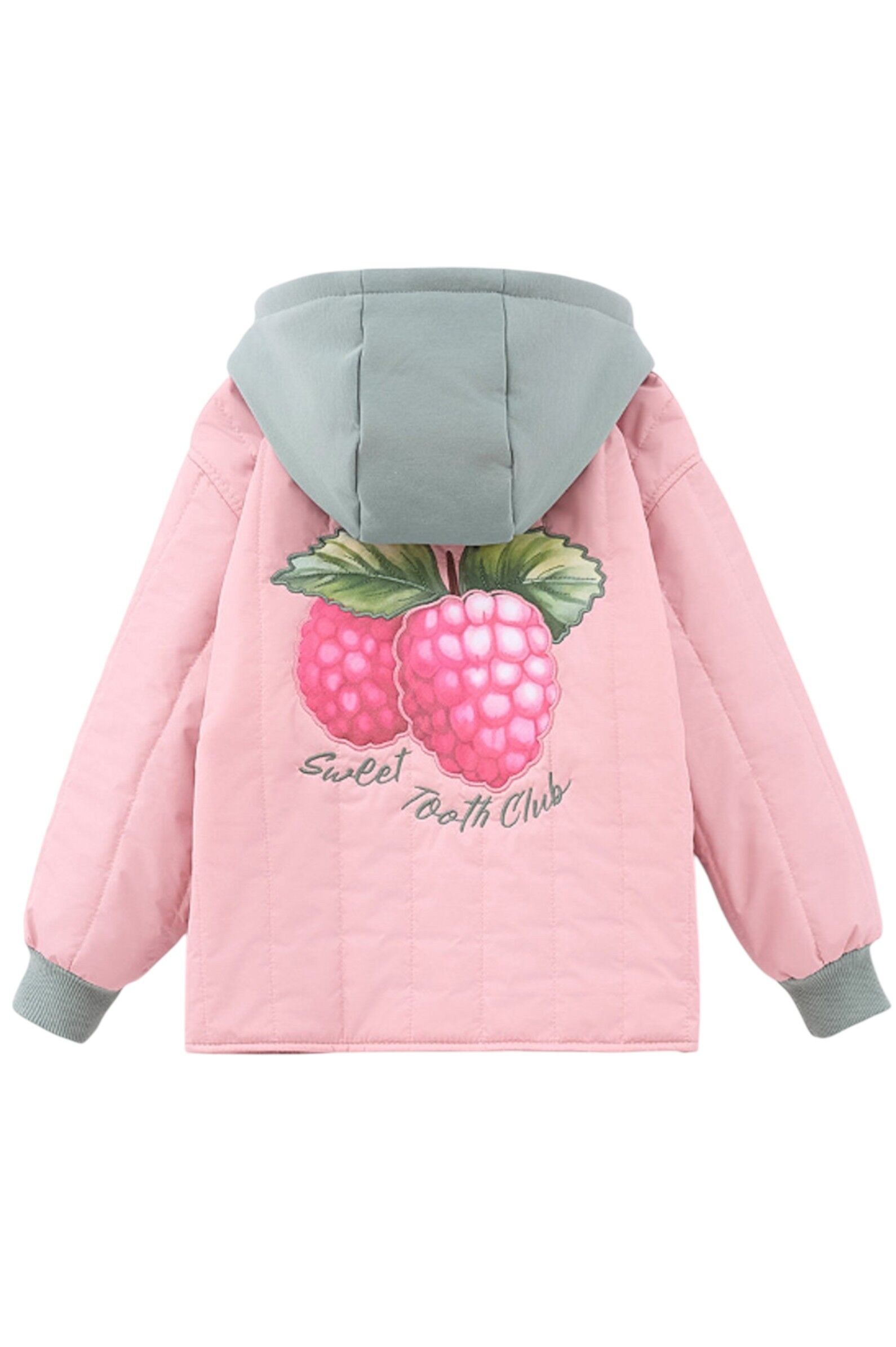 Куртка дев. АРТ.261065,роз-зел,пэ/хл-эл